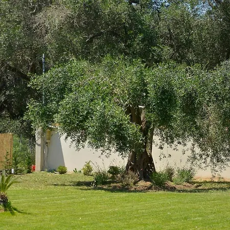 Вилла La Casa Del Sole