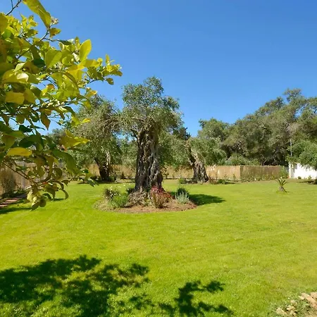 Vila La Casa Del Sole Halikounas