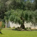 Villa La Casa Del Sole